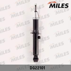 Shock Absorber (DG22101)
