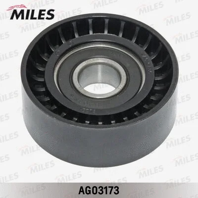 Tensioner Lever, V-ribbed belt (AG03173)