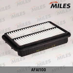 Air Filter (AFAI100)