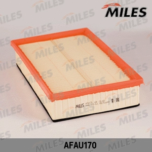 Air Filter (AFAU170)