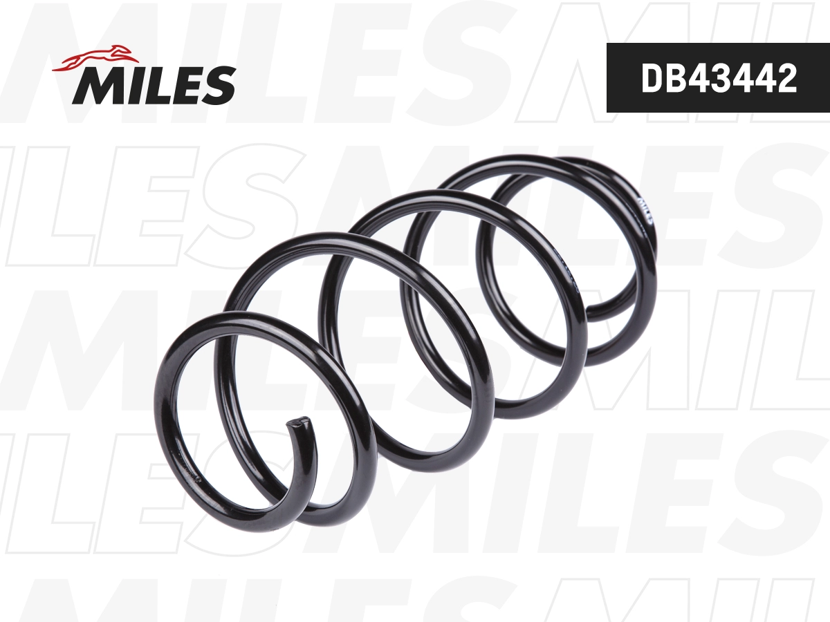 Suspension Spring (DB43442)