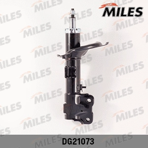 Shock Absorber (DG21073)