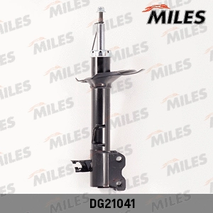 Shock Absorber (DG21041)