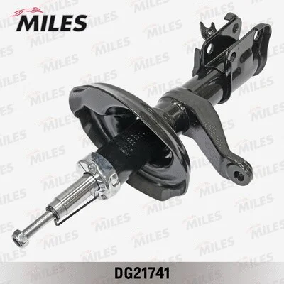 Shock Absorber (DG21741)