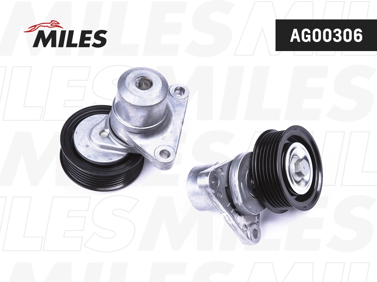 Tensioner Lever, V-ribbed belt (AG00306)