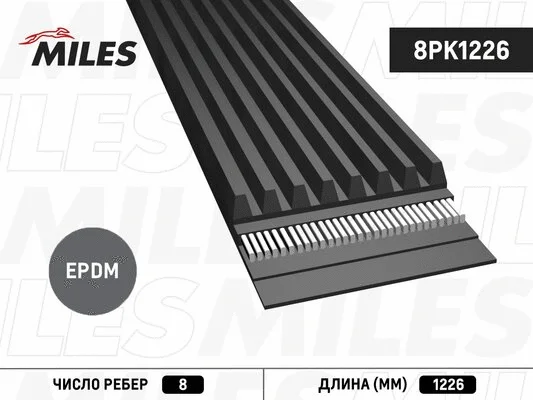 V-Ribbed Belt (8PK1226)
