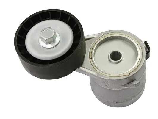 Tensioner Lever, V-ribbed belt (AG00194)