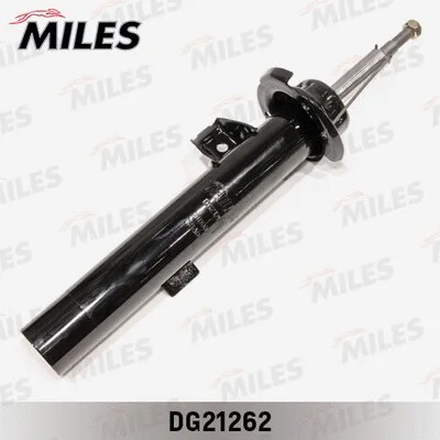 Shock Absorber (DG21262)