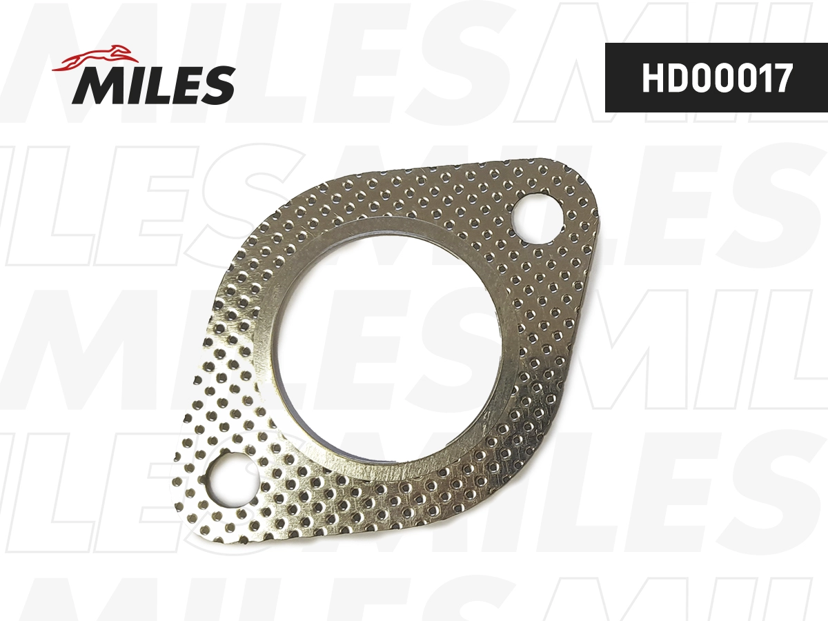 Gasket, exhaust pipe (HD00017)