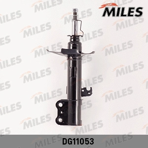 Shock Absorber (DG11053)