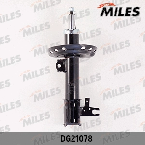 Shock Absorber (DG21078)