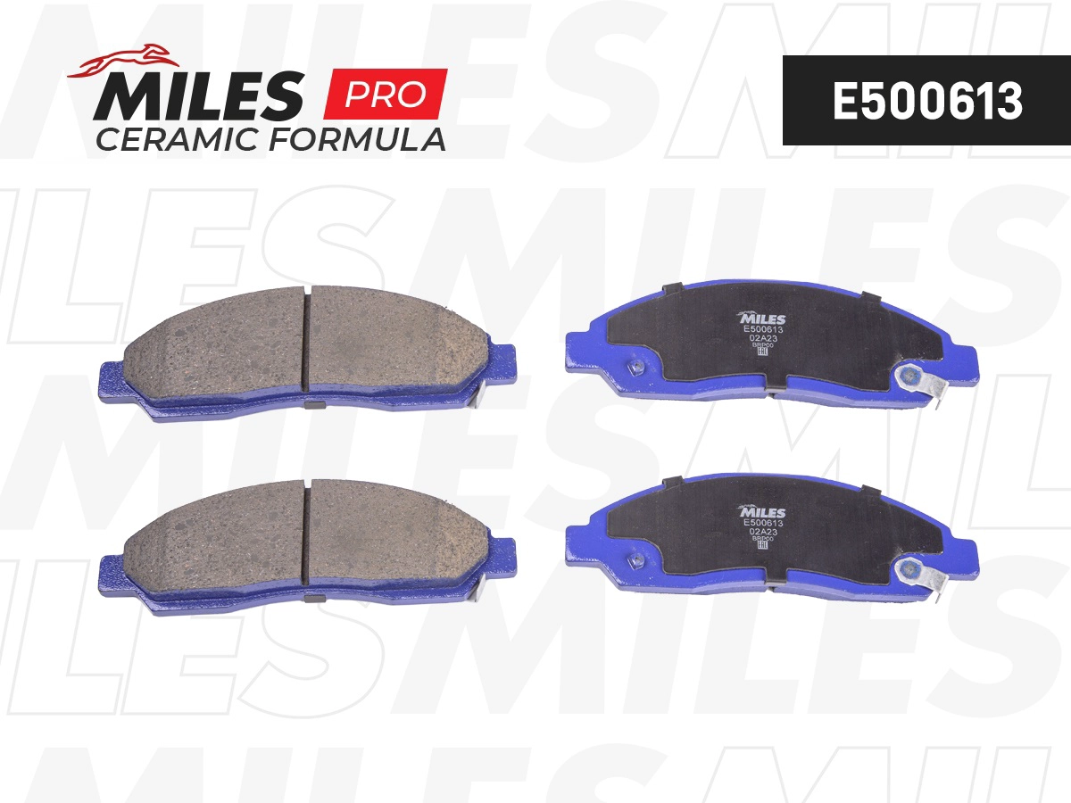 Brake Pad Set, disc brake (E500613)