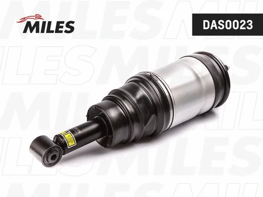 Air Suspension Strut (DAS0023)