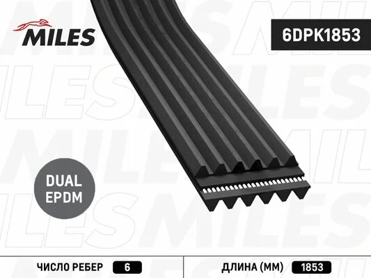 V-Ribbed Belt (6DPK1853)