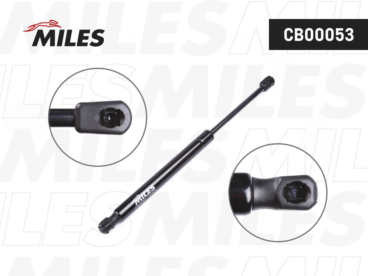 Gas Spring, boot/cargo area (CB00053)