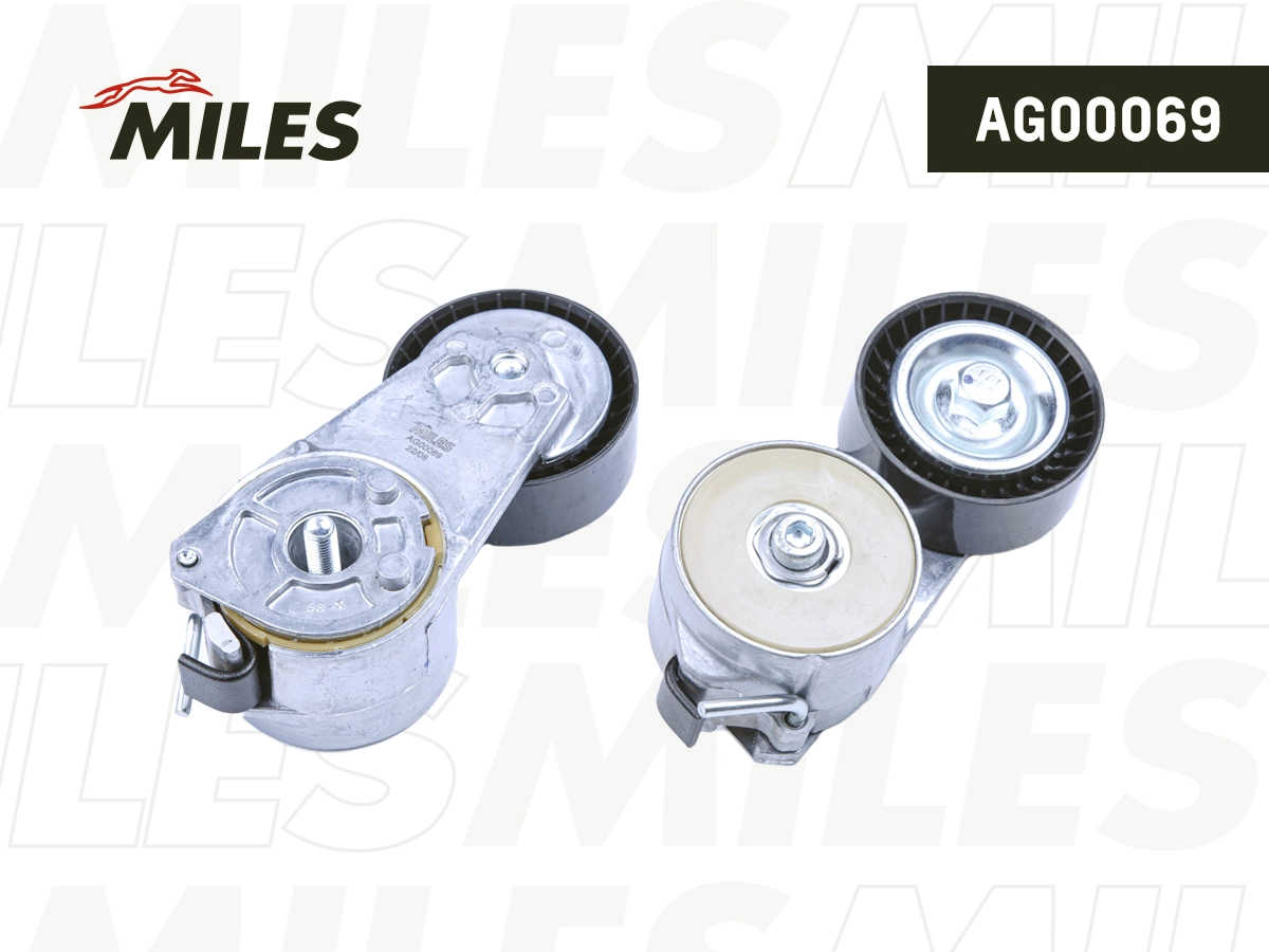 Tensioner Lever, V-ribbed belt (AG00069)