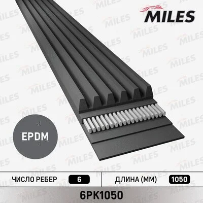 V-Ribbed Belt (6PK1050)