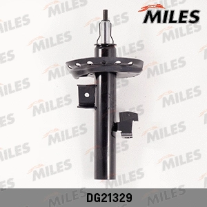 Shock Absorber (DG21329)