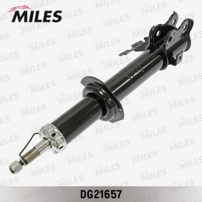 Shock Absorber (DG21657)