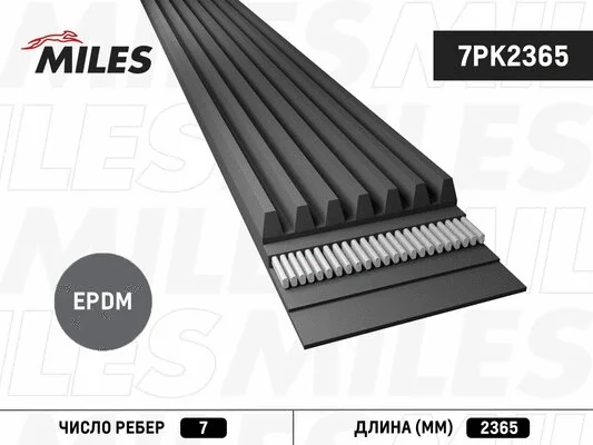V-Ribbed Belt (7PK2365)