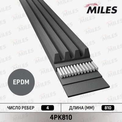 V-Ribbed Belt (4PK810)