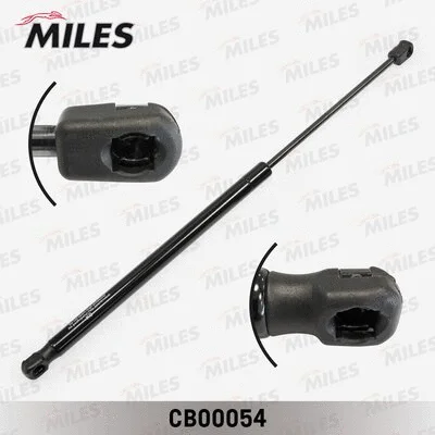 Gas Spring, boot/cargo area (CB00054)