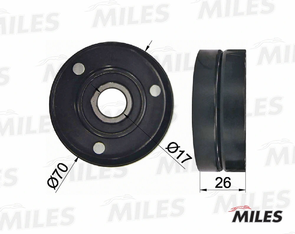 Tensioner Lever, V-ribbed belt