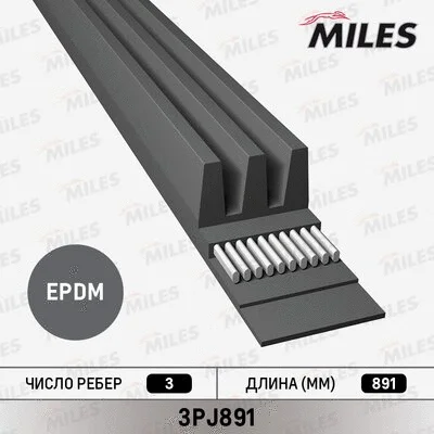 V-Ribbed Belt (3PJ891)