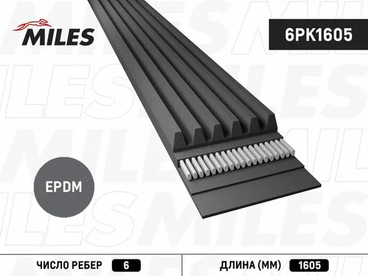 V-Ribbed Belt (6PK1605)
