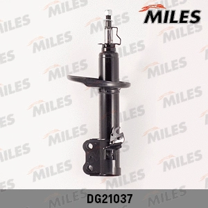Shock Absorber (DG21037)
