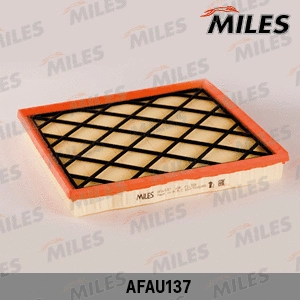 Air Filter (AFAU137)