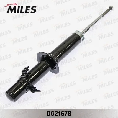 Shock Absorber (DG21678)