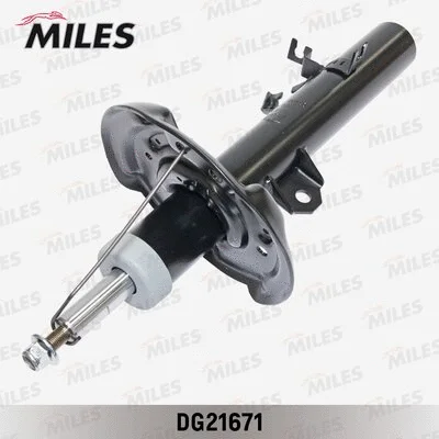 Shock Absorber (DG21671)