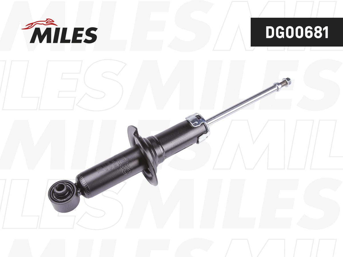 Shock Absorber (DG00681)