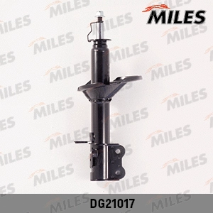 Shock Absorber (DG21017)