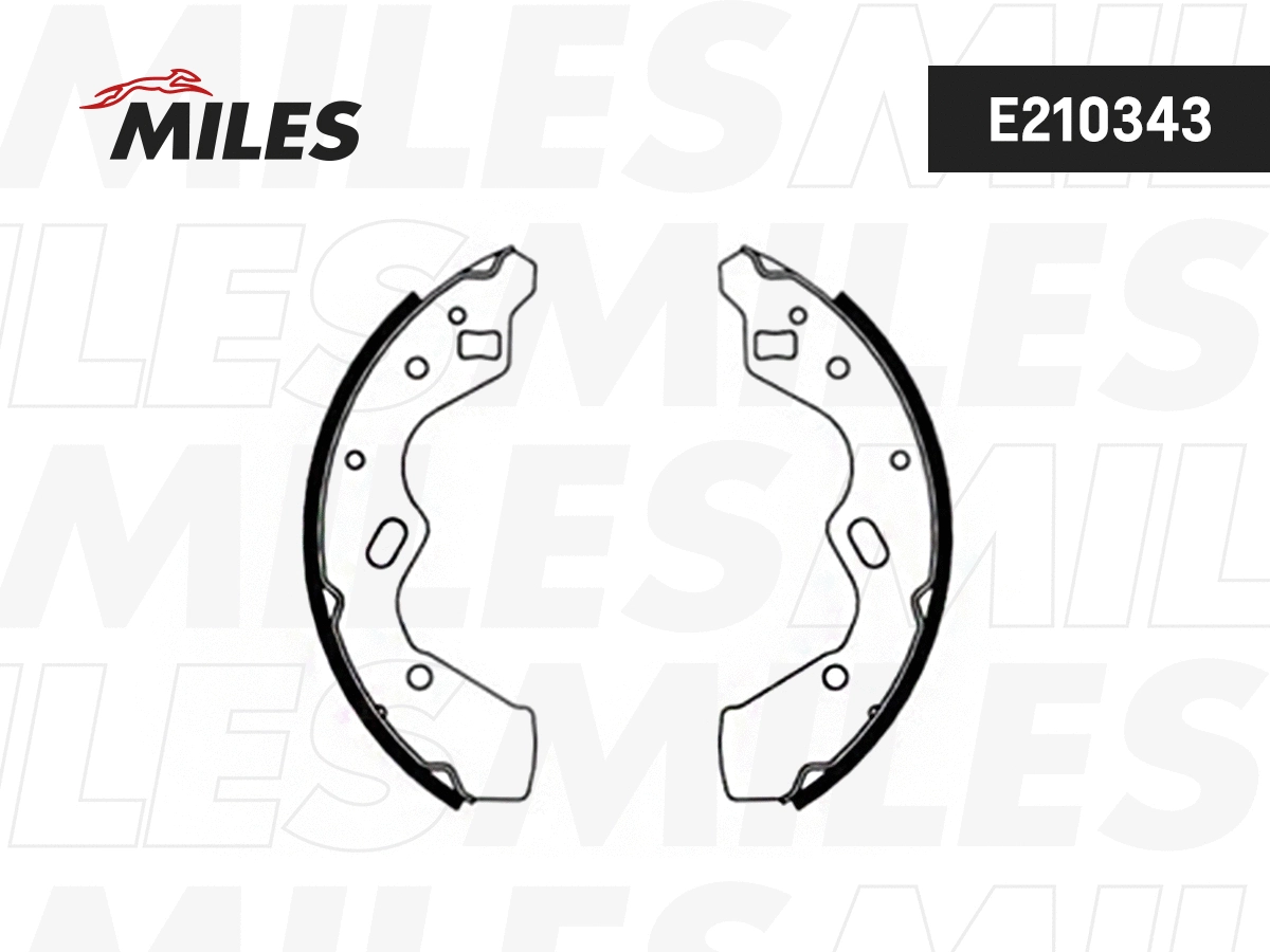 Brake Shoe Set (E210343)