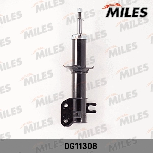 Shock Absorber (DG11308)
