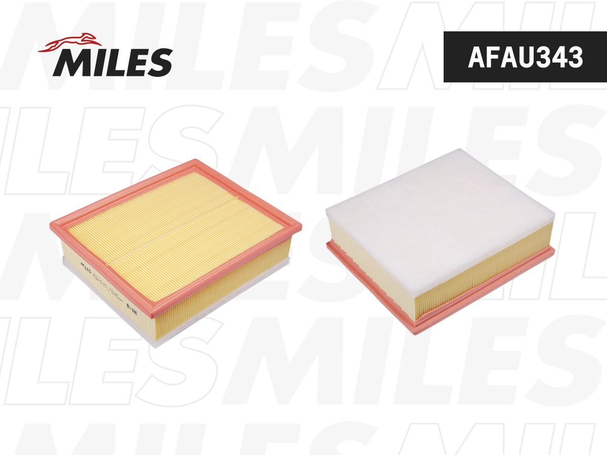 Air Filter (AFAU343)