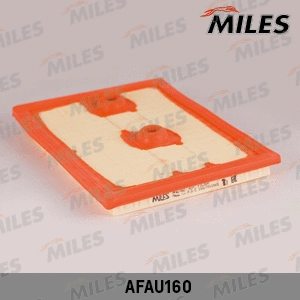 Air Filter (AFAU160)
