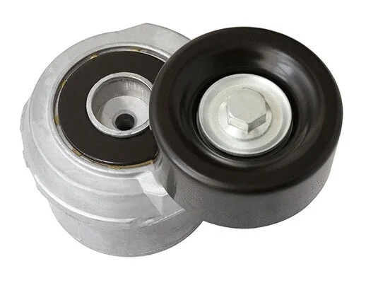 Tensioner Lever, V-ribbed belt (AG00074)