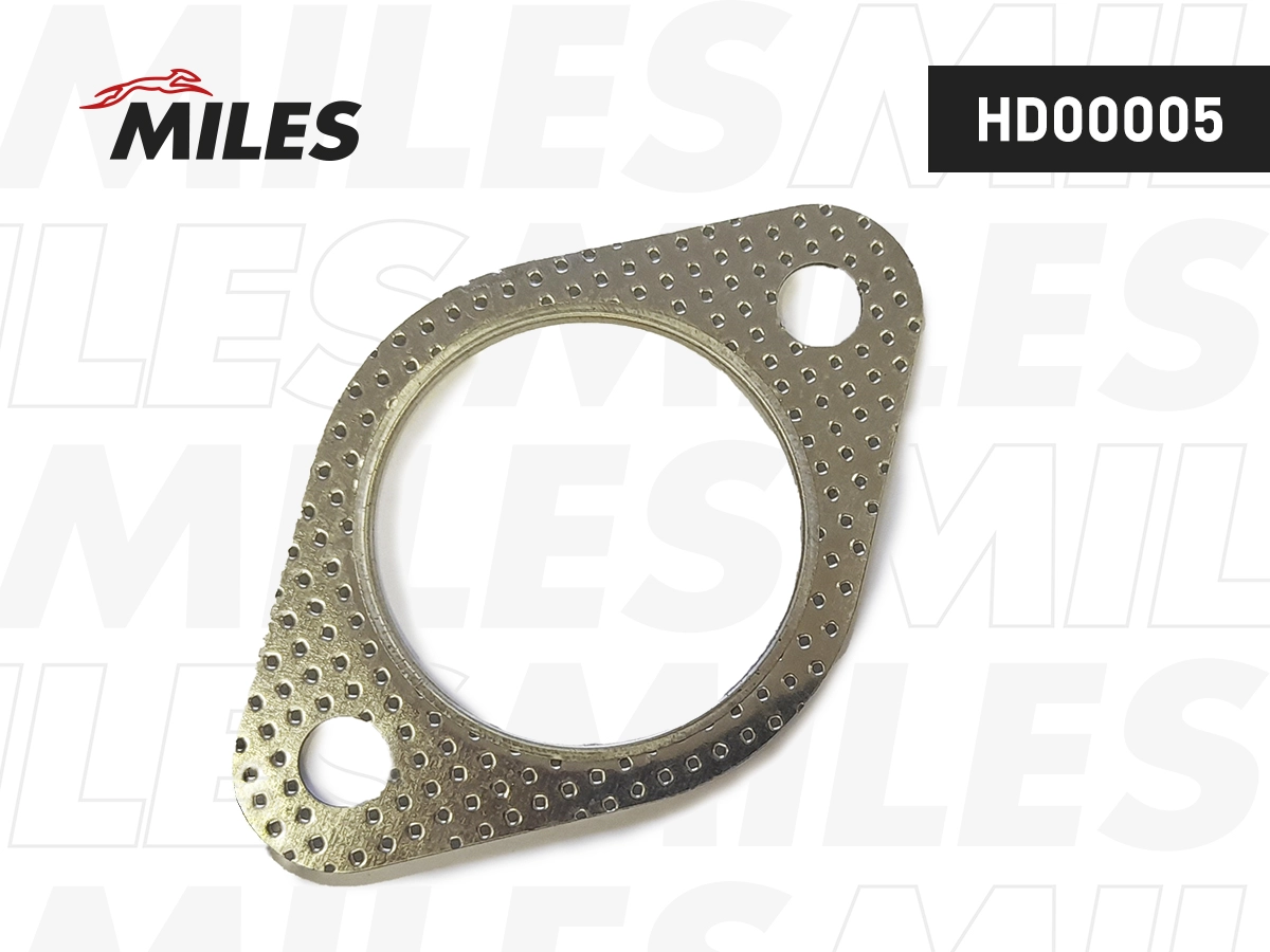 Gasket, exhaust pipe (HD00005)