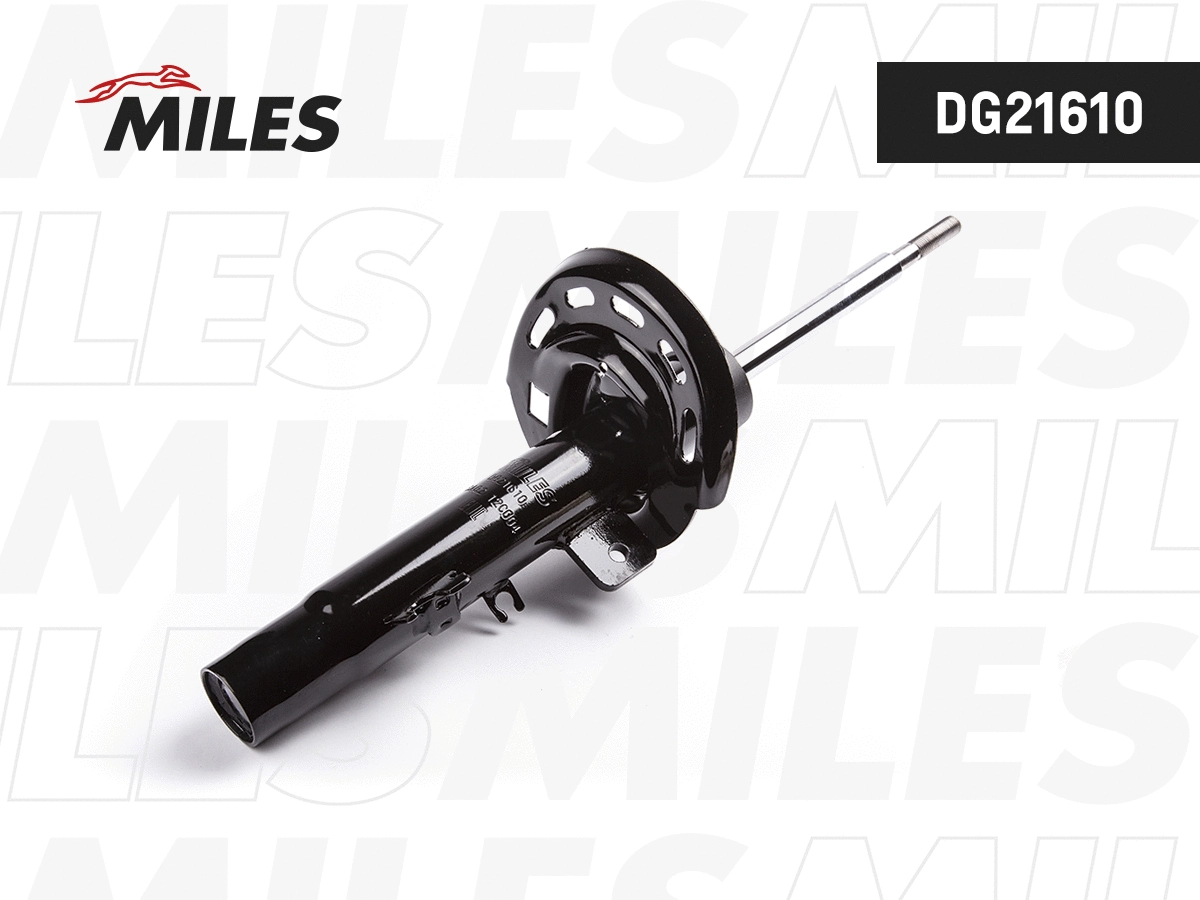 Shock Absorber (DG21610)