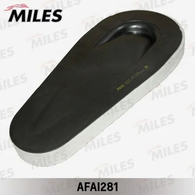 Air Filter (AFAI281)