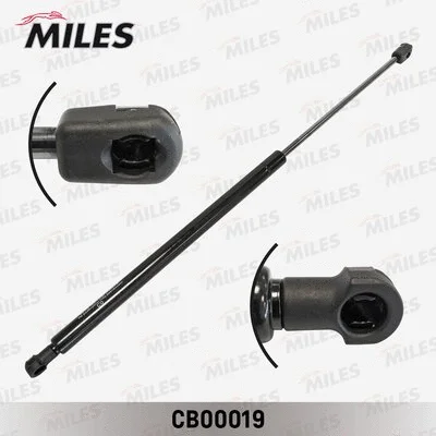 Gas Spring, boot/cargo area (CB00019)