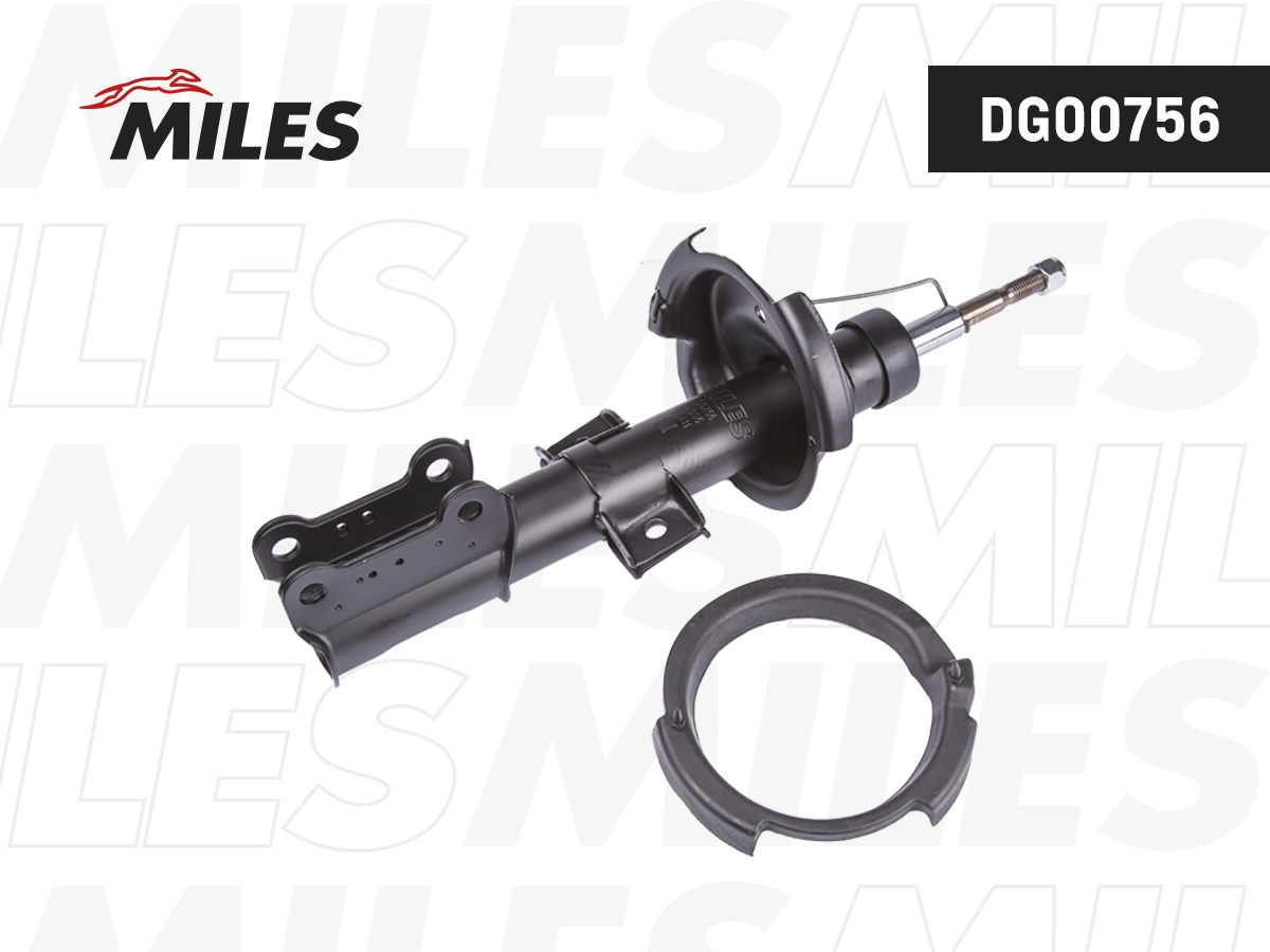 Shock Absorber (DG00756)