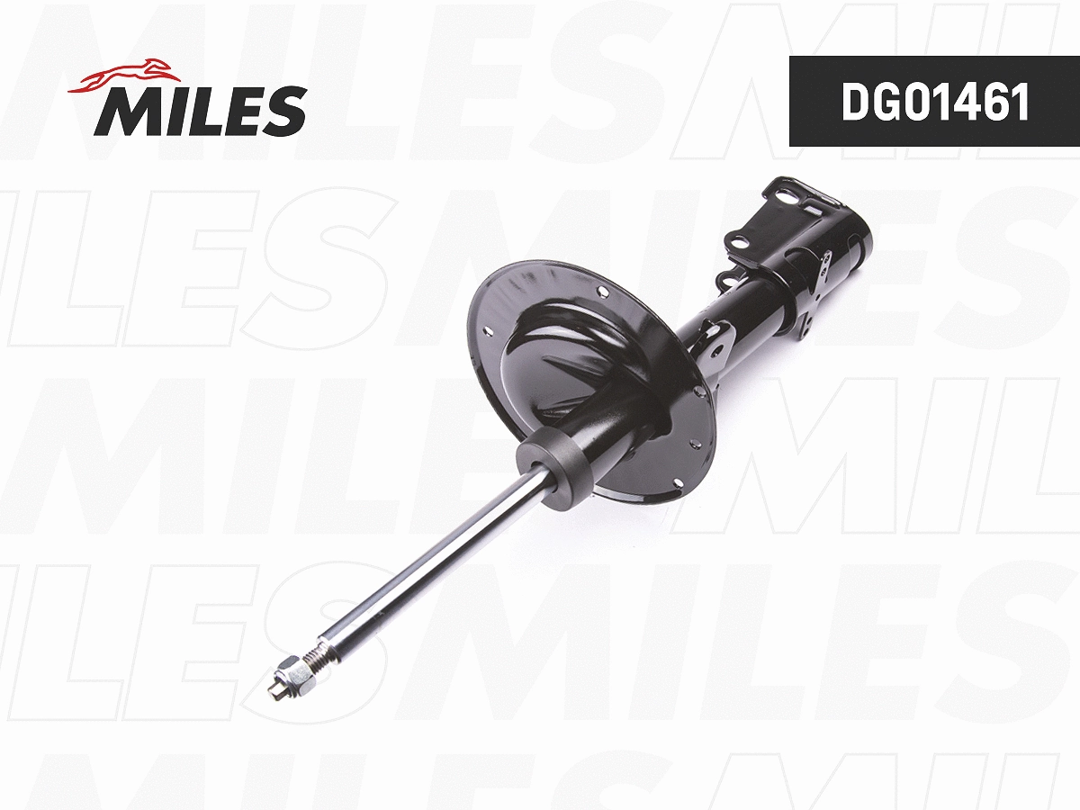 Shock Absorber (DG01461)