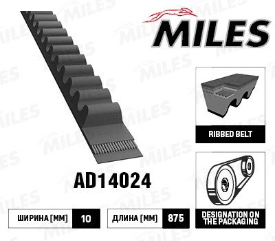 V-Belt (AD14024)