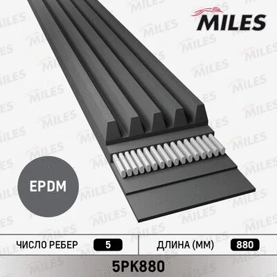 V-Ribbed Belt (5PK880)
