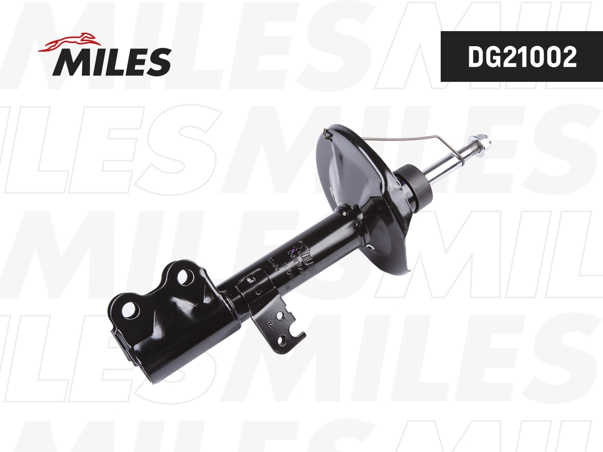 Shock Absorber (DG21002)