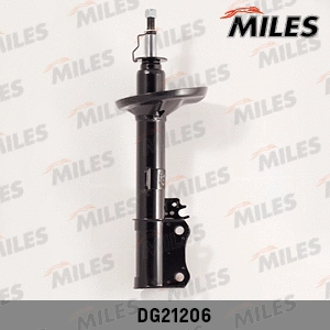 Shock Absorber (DG21206)